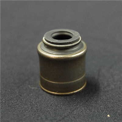 Séala Gas Comhla Rubair